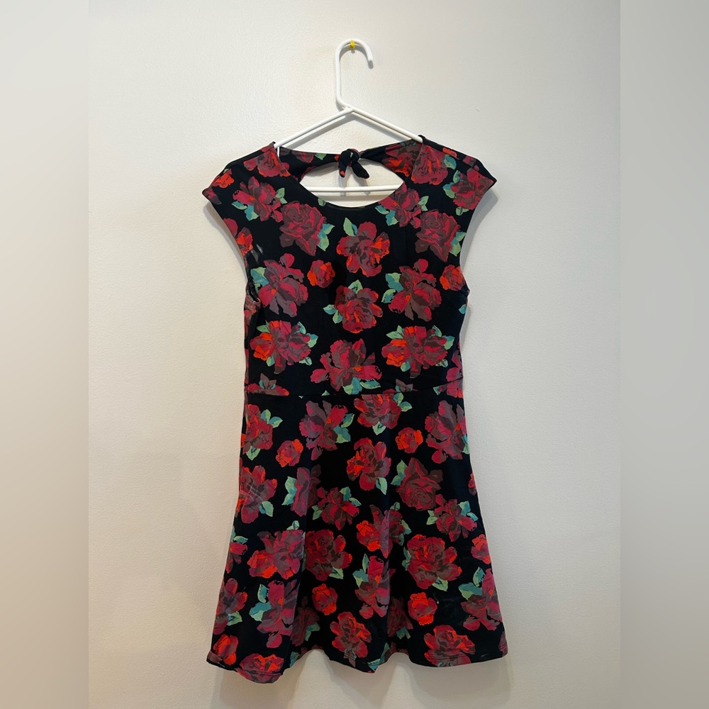 Aritzia Red and Black Fit and Flare Mini Dress - Picture 1 of 4